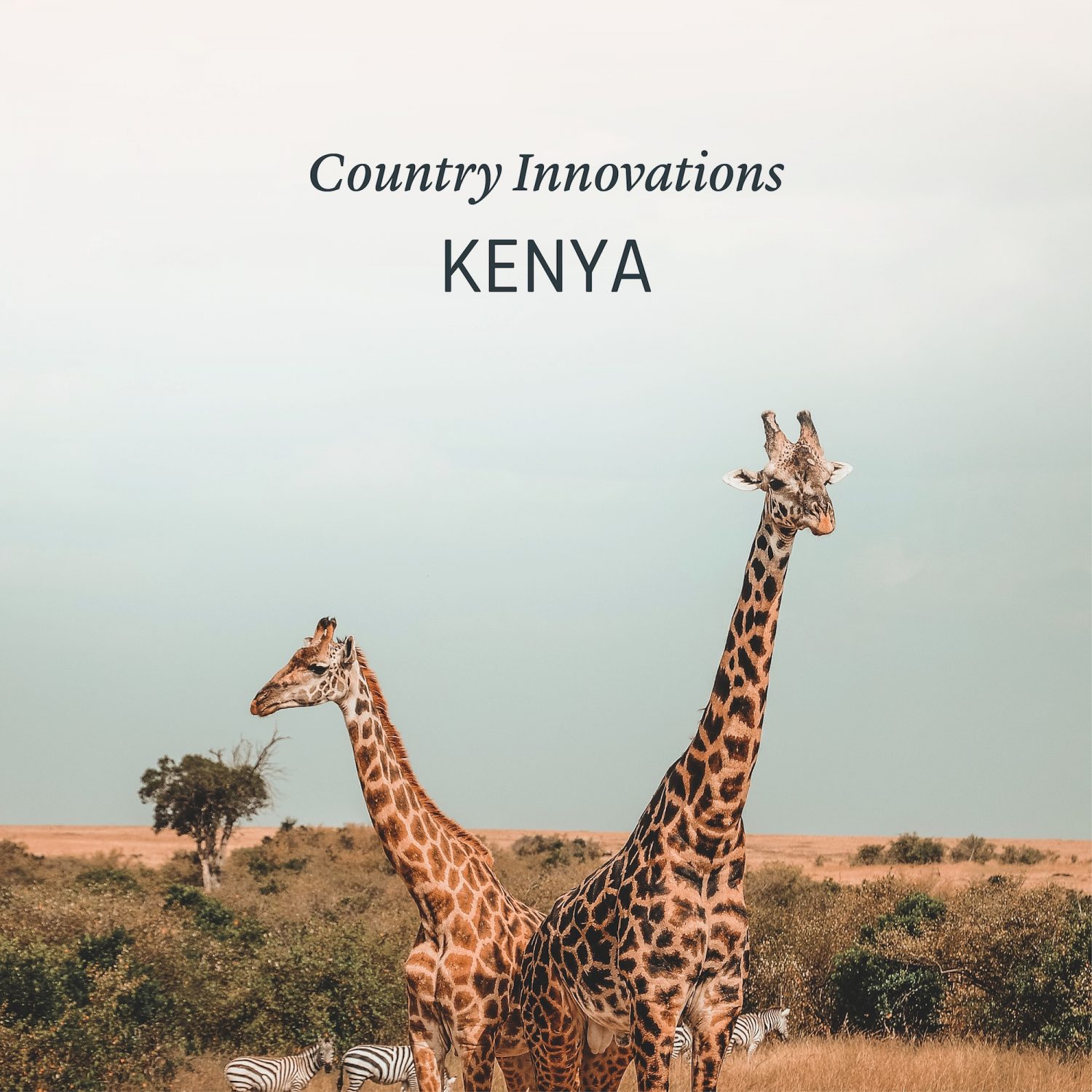 Kenya Environment Environmental Innovations Sustainability Startups Eco Friendly Green Nowhere & Everywhere