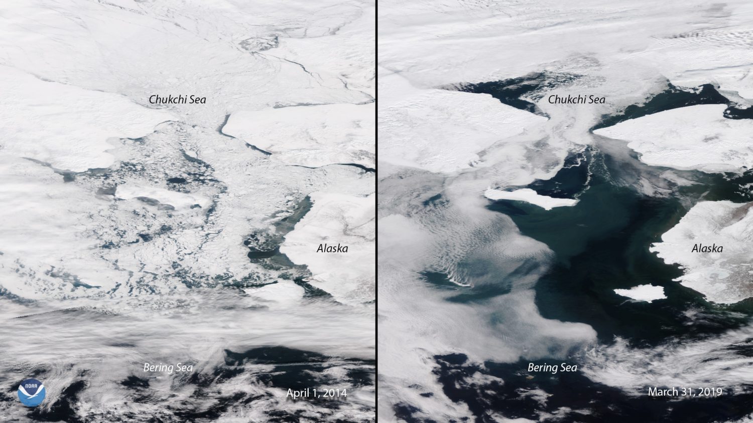 Bering Sea Alaska Climate Change Nowhere & Everywhere Sustainability Environmentalism Blog Activism