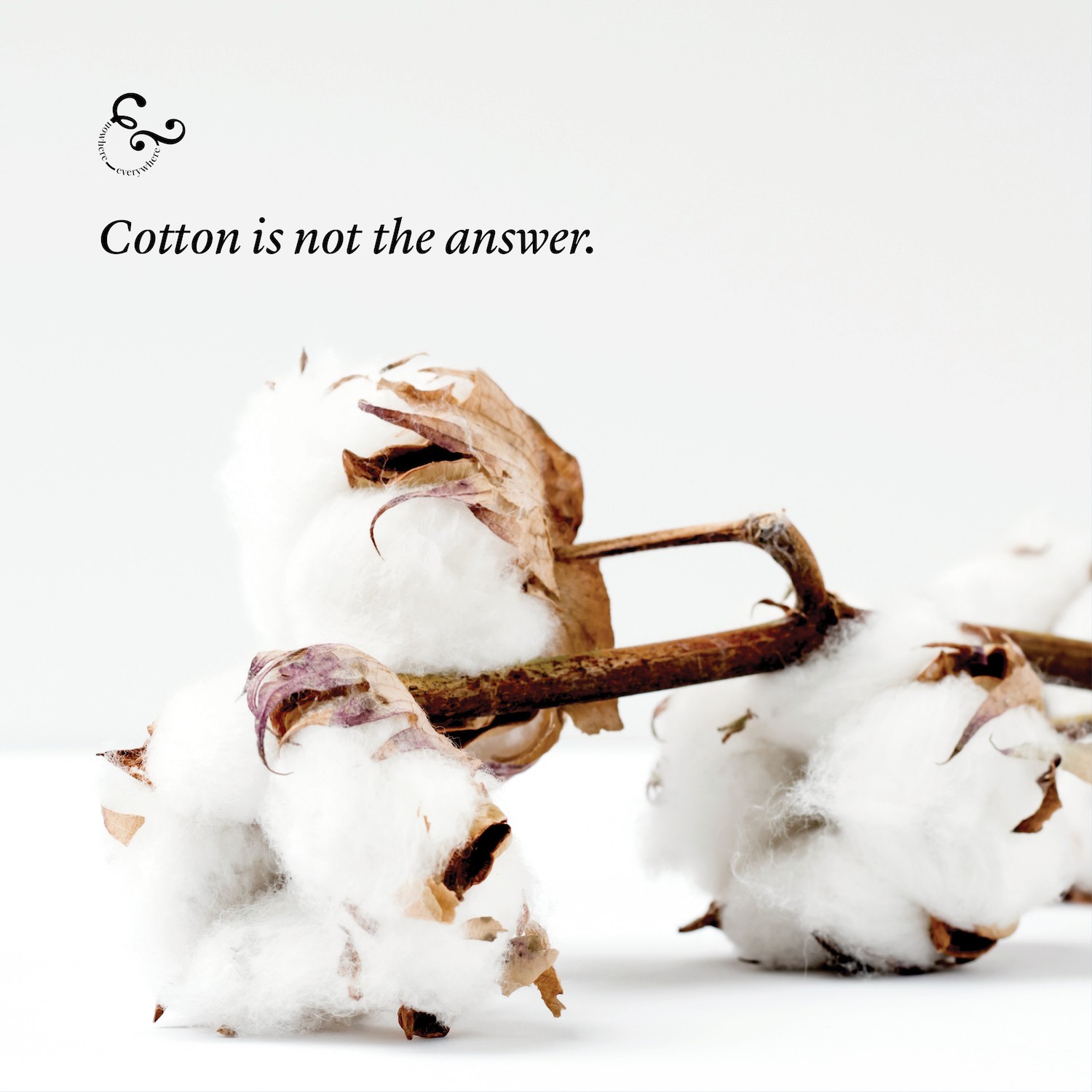 Cotton is not the answer solution cotton vs plastic Nowhere & Everywhere Best Fabrics Hemp