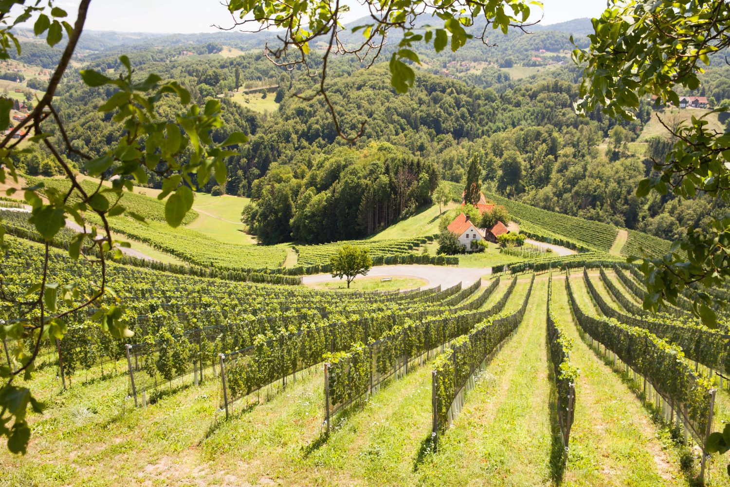 Austria Styria Wine Region - Nowhere & Everywhere - Sustainable Eco Travel Environmentalism