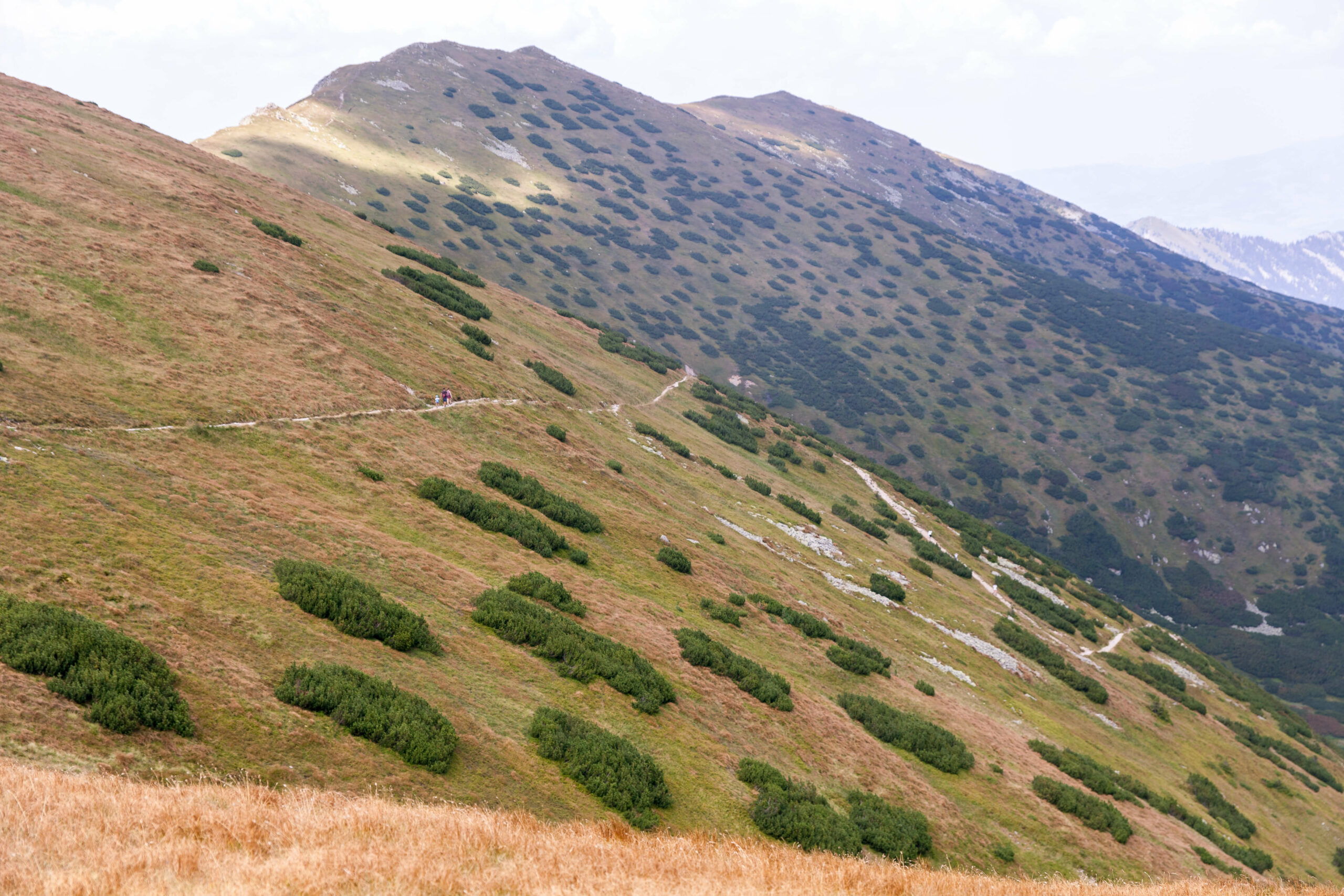 Nowhere & Everywhere - Sustainable Eco Green Travel - Slovakia Lower Tatras