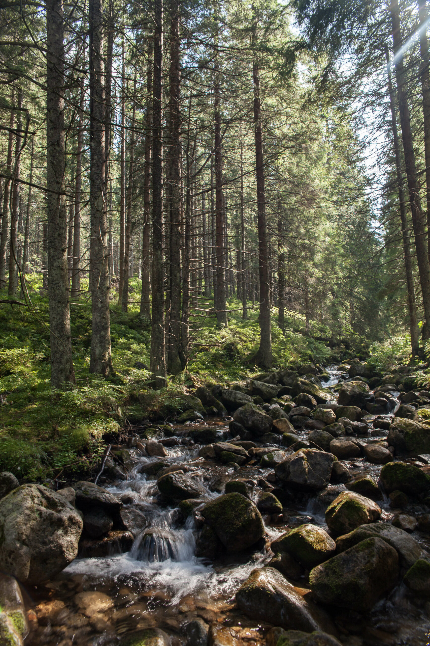 Nowhere & Everywhere - Sustainable Eco Green Travel - Slovakia Lower Tatras