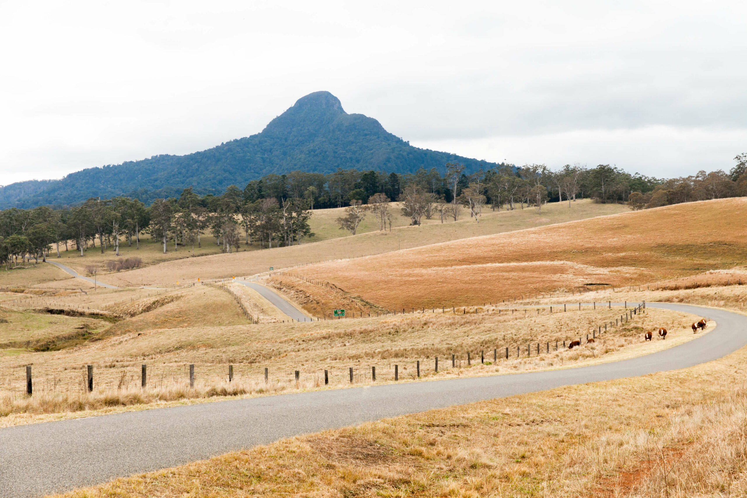 Stanthorpe Queensland road trip travel photography wineries mountains scenic rim - Nowhere & Everywhere - Lis Dingjan