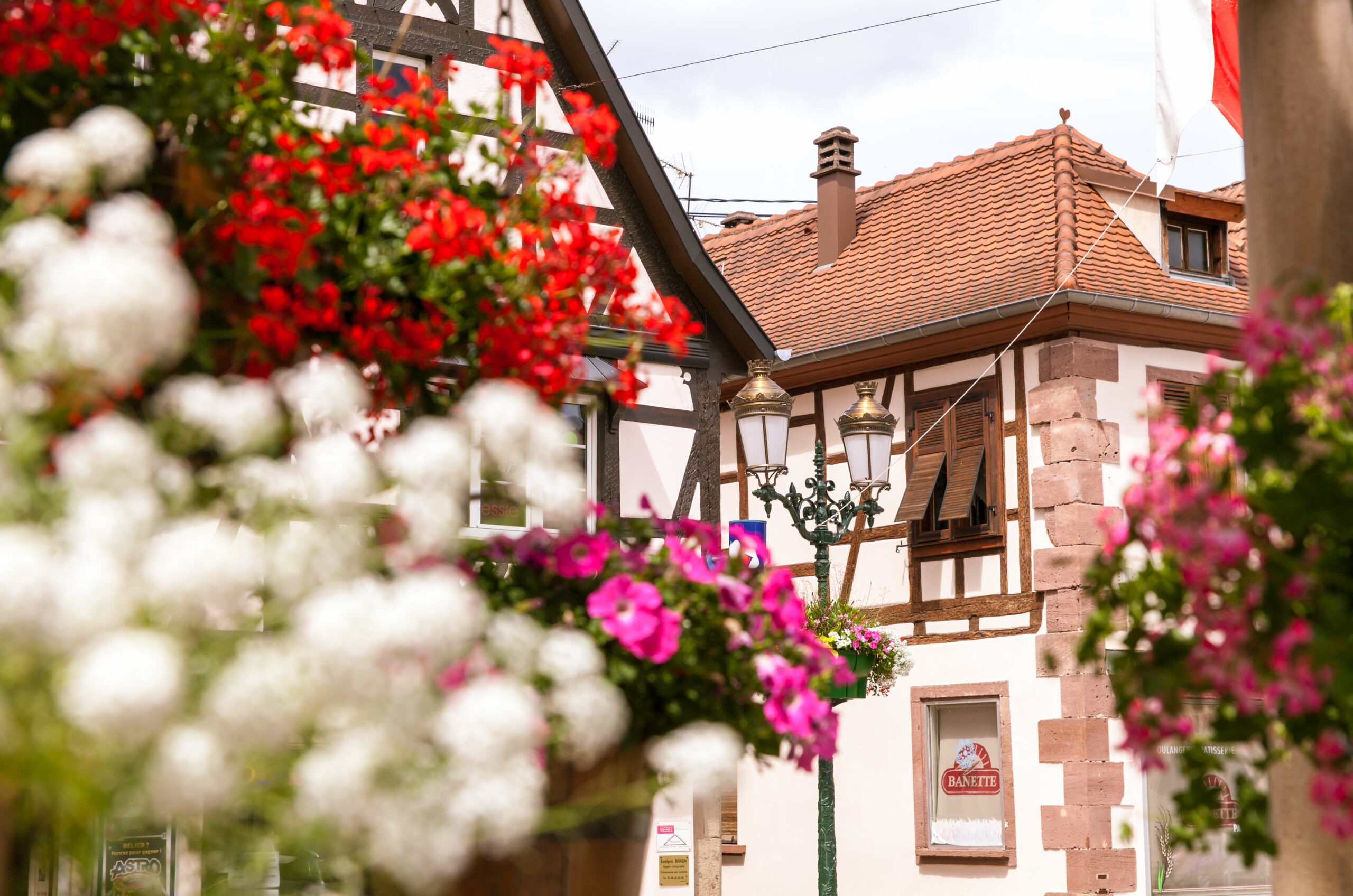 Alsace France Wine Route - Nowhere & Everywhere - Sustainable travel Europe road trip